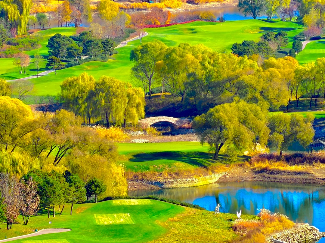 FedEx St. Jude Championship