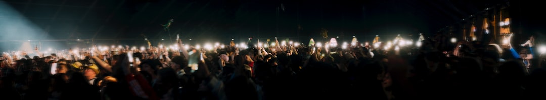 Force Fields Music Festival