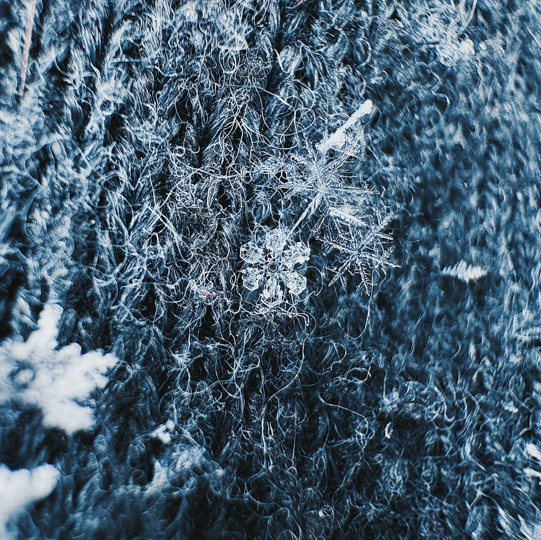 Frozen-Film